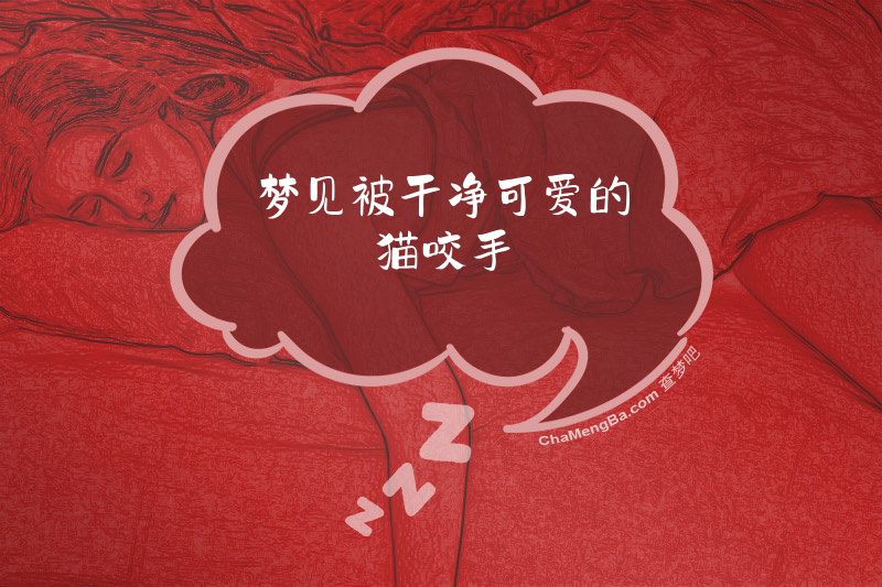 梦见被干净可爱的猫咬手