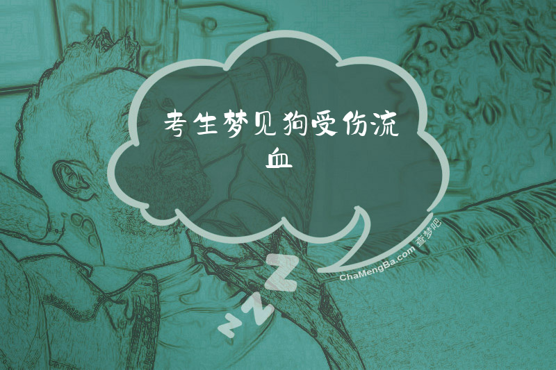 考生梦见狗受伤流血
