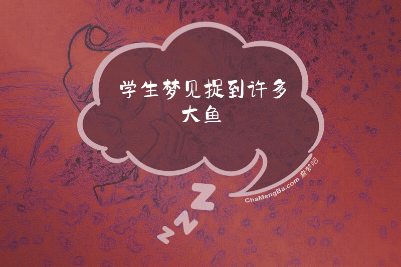 学生梦见捉到许多大鱼