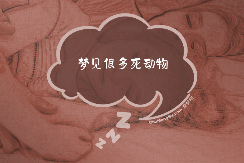 梦见很多死动物