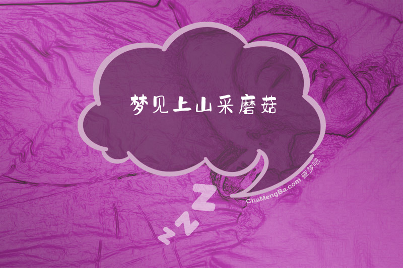 梦见上山采磨菇