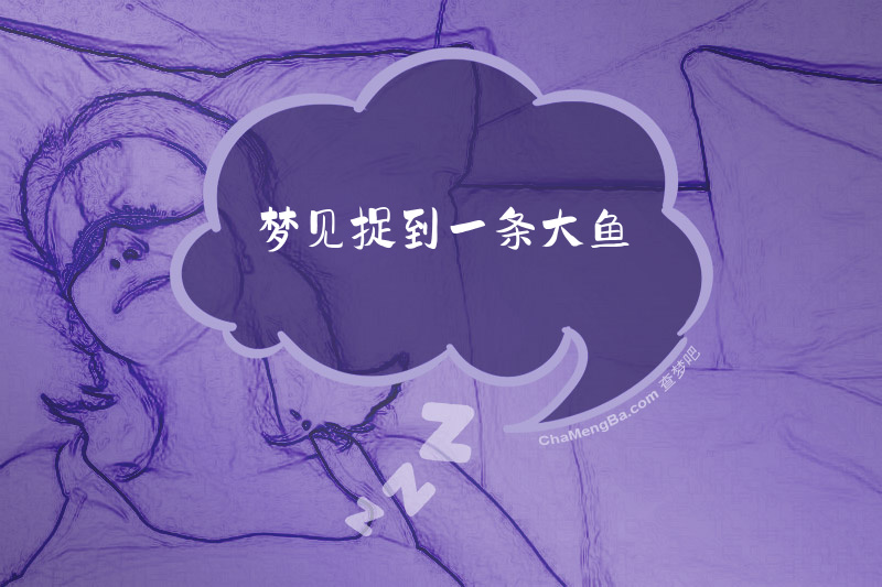 梦见捉到一条大鱼