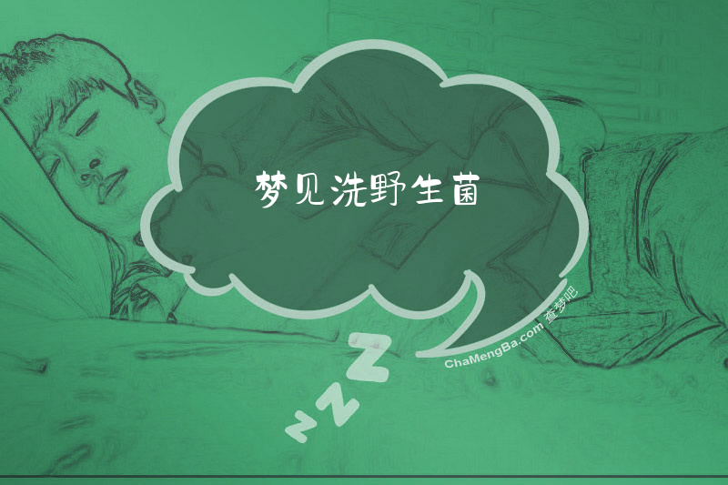 梦见洗野生菌