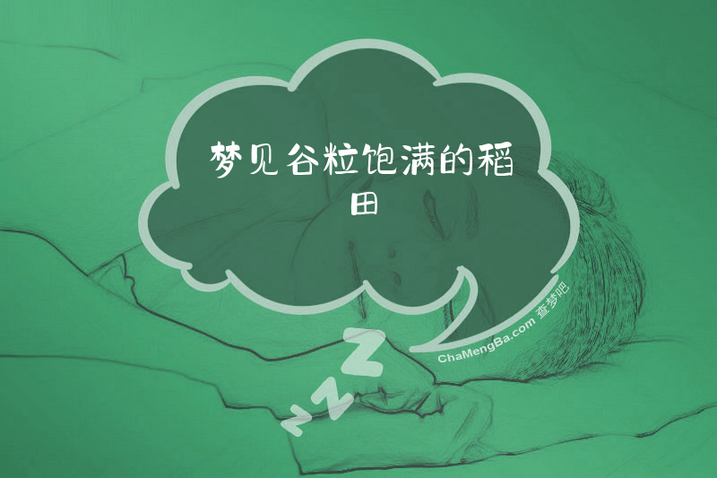 梦见谷粒饱满的稻田