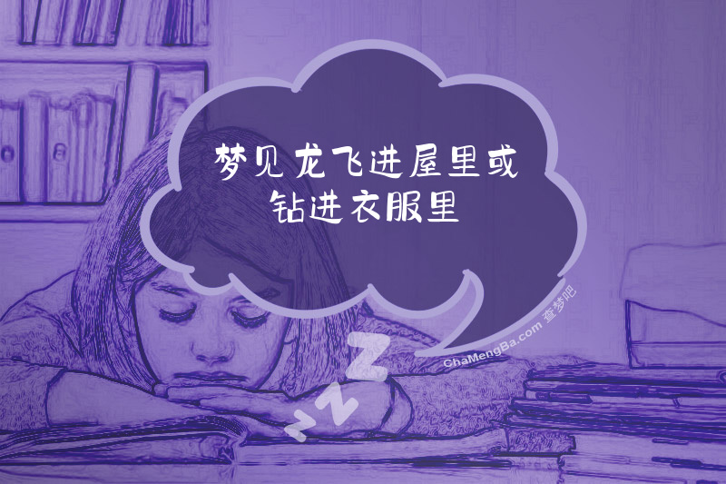梦见龙飞进屋里或钻进衣服里