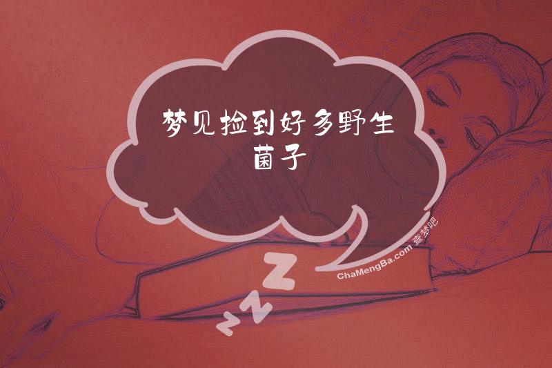 梦见捡到好多野生菌子