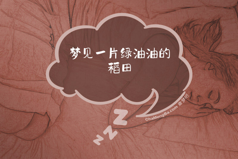 梦见一片绿油油的稻田