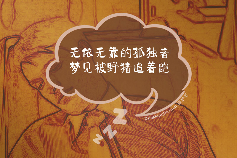 无依无靠的孤独者梦见被野猪追着跑