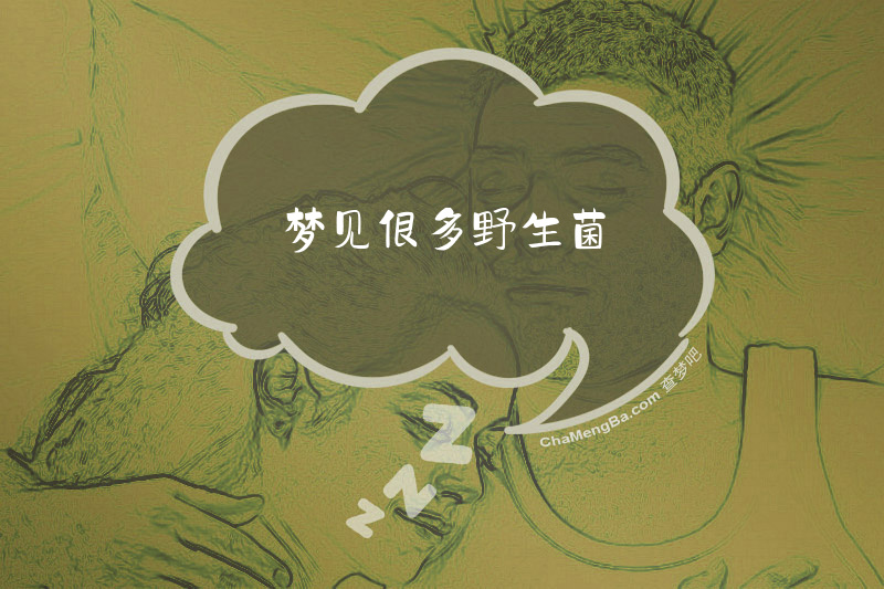 梦见很多野生菌