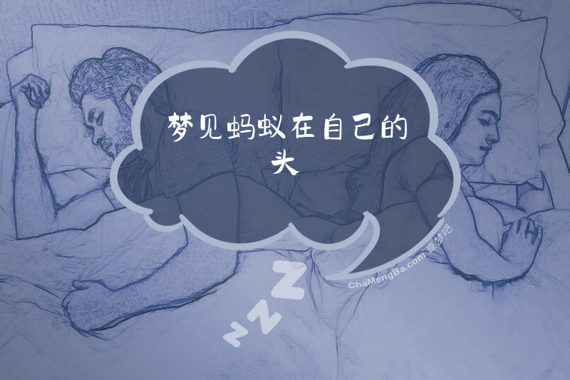 梦见蚂蚁在自己的头