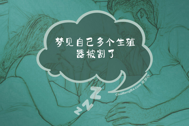 梦见自己多个生殖器被割了