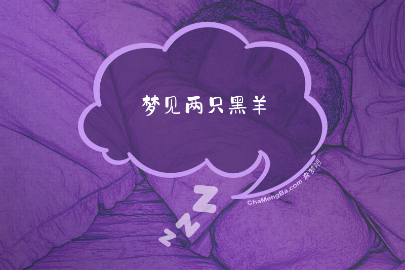 梦见两只黑羊