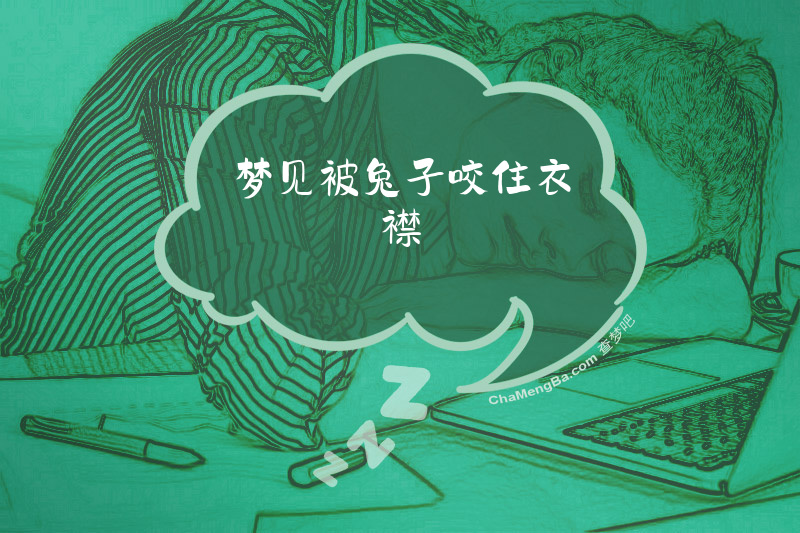 梦见被兔子咬住衣襟