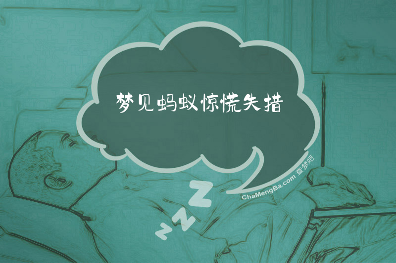 梦见蚂蚁惊慌失措