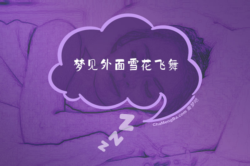 梦见外面雪花飞舞