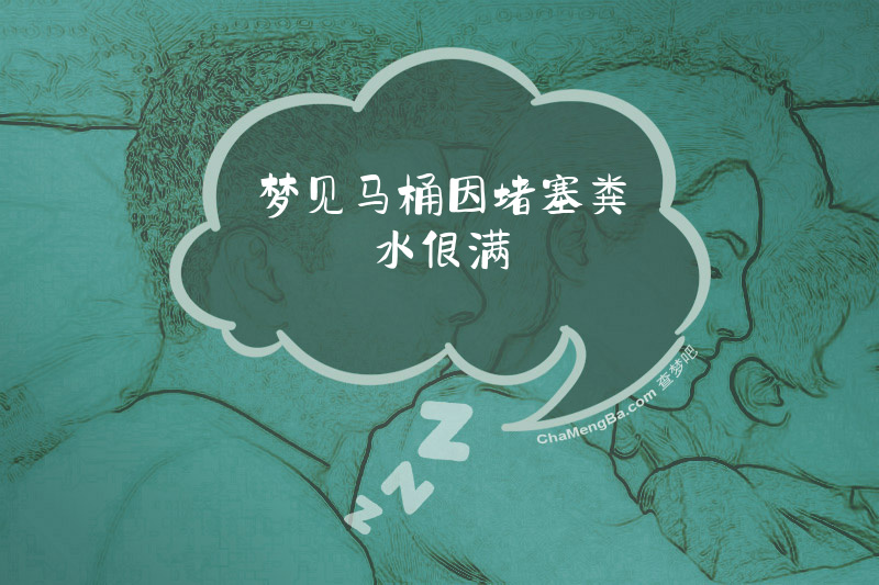 梦见马桶因堵塞粪水很满