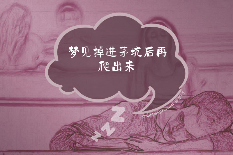 梦见掉进茅坑后再爬出来