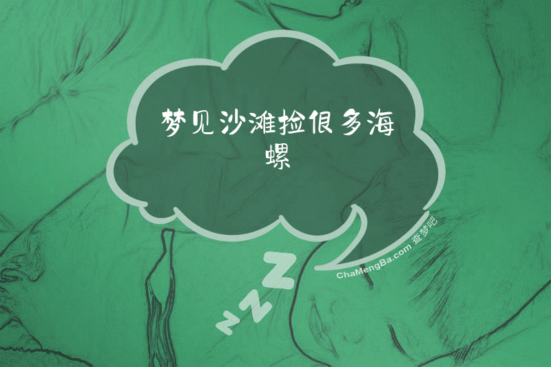 梦见沙滩捡很多海螺