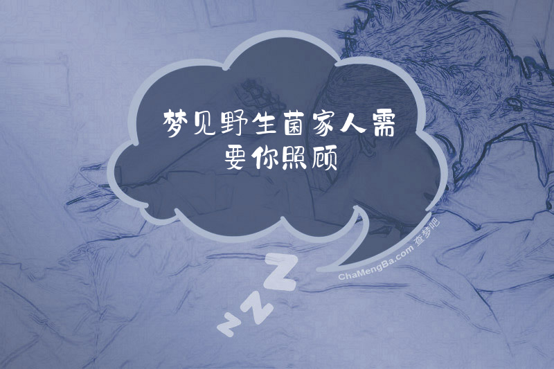 梦见野生菌家人需要你照顾