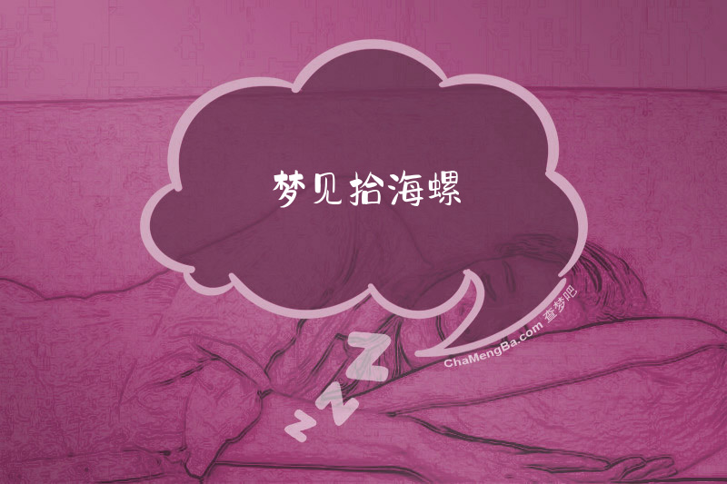 梦见拾海螺