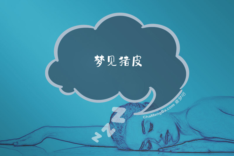 梦见猪皮
