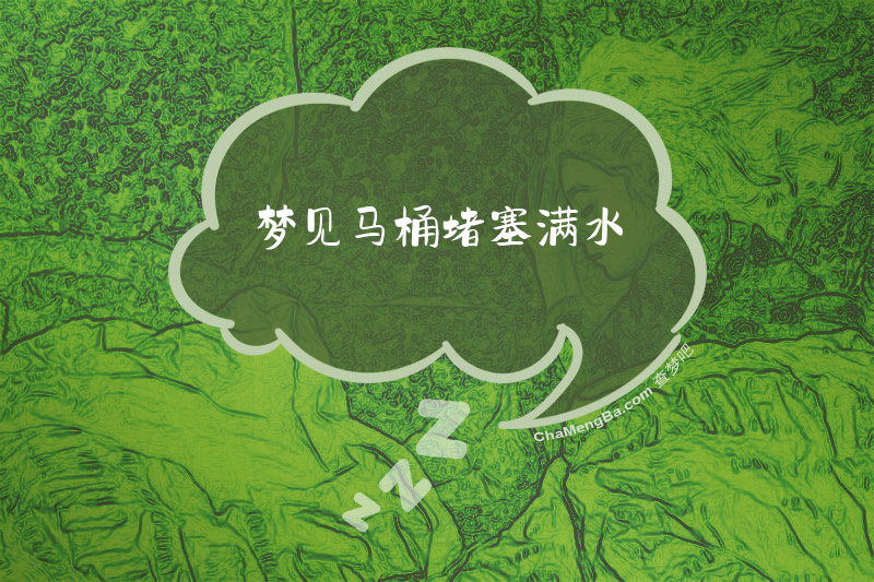 梦见马桶堵塞满水