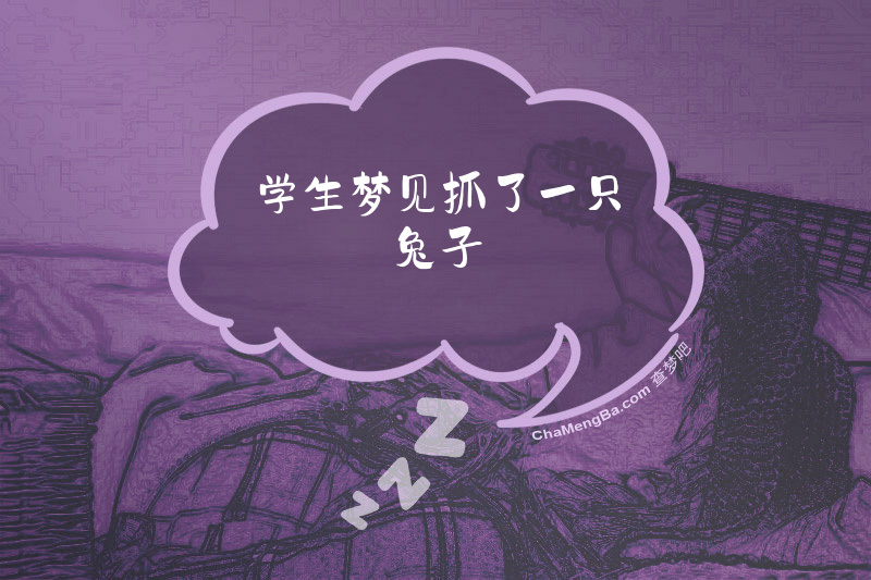 学生梦见抓了一只兔子