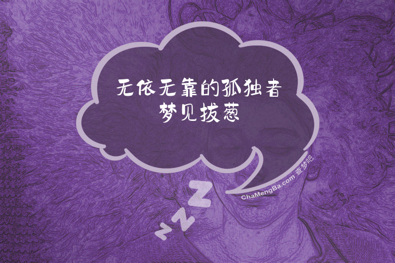 无依无靠的孤独者梦见拔葱