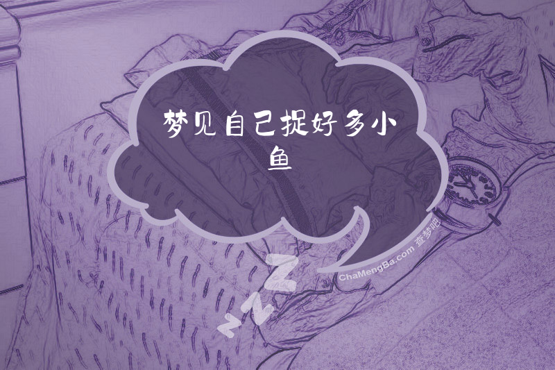 梦见自己捉好多小鱼