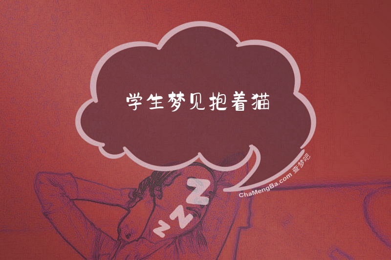 学生梦见抱着猫