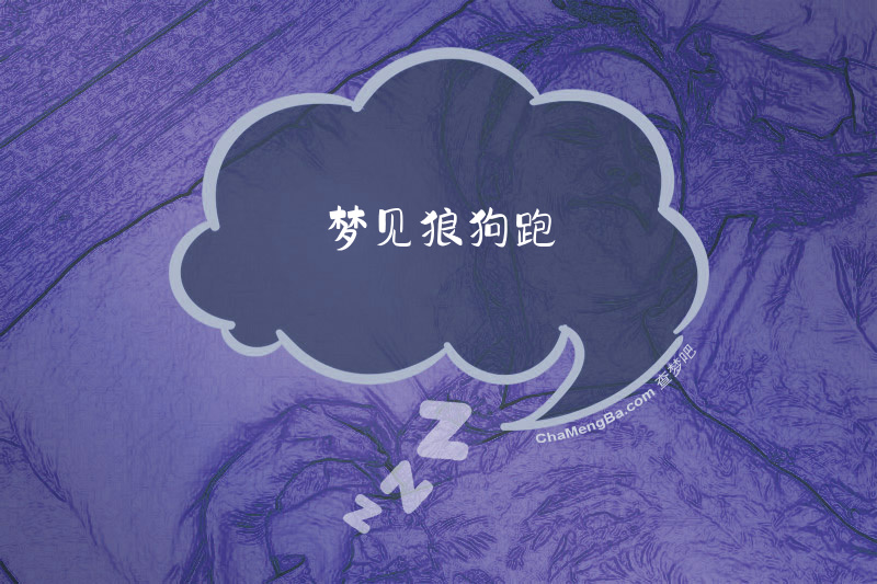 梦见狼狗跑