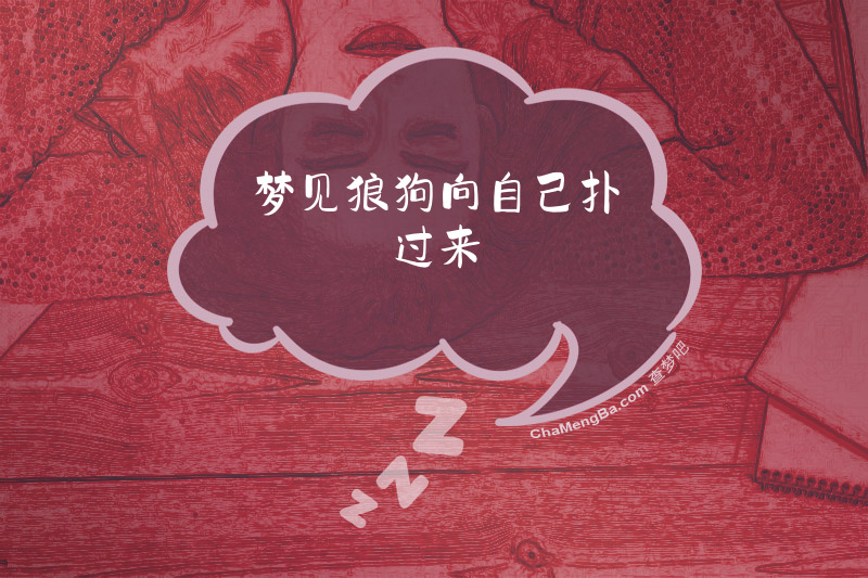 梦见狼狗向自己扑过来
