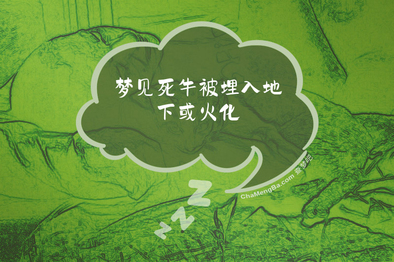 梦见死牛被埋入地下或火化