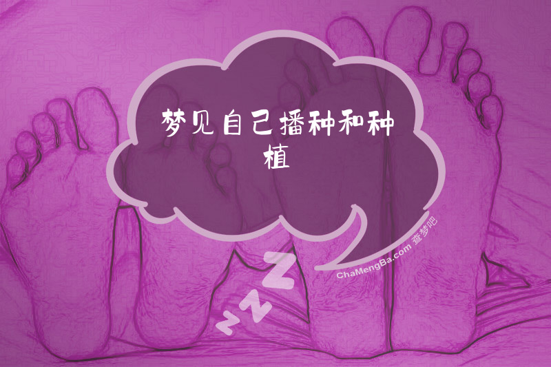 梦见自己播种和种植