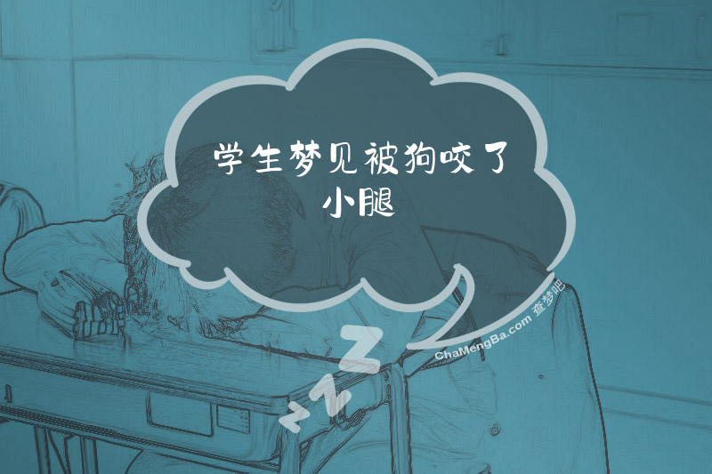 学生梦见被狗咬了小腿