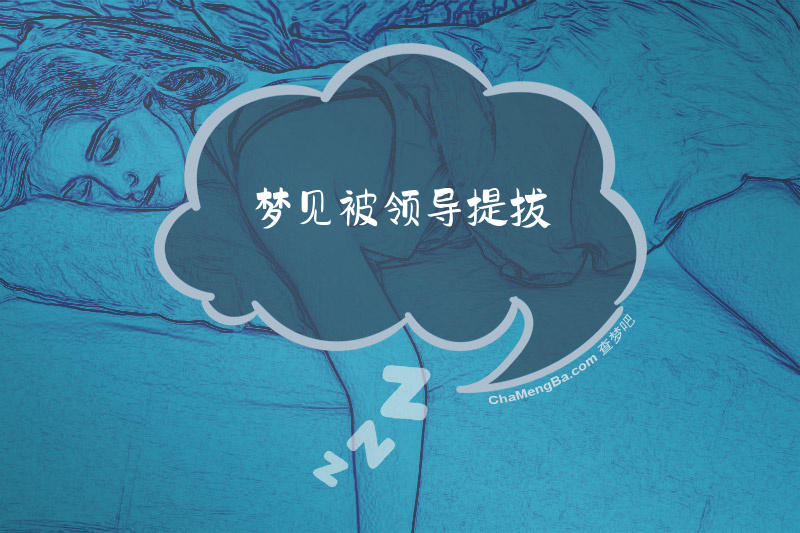 梦见被领导提拔