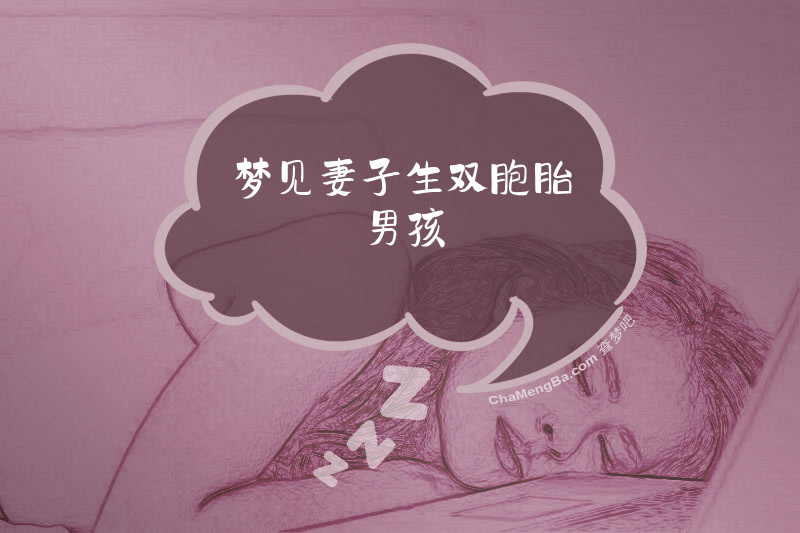 梦见妻子生双胞胎男孩