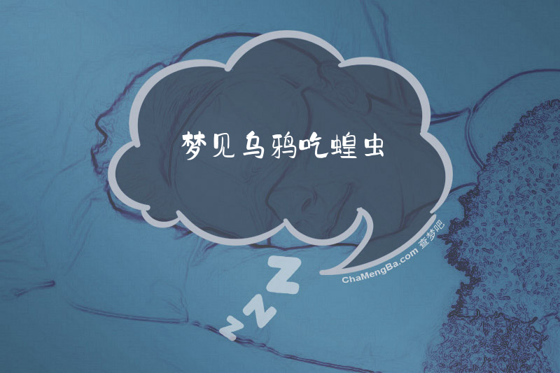 梦见乌鸦吃蝗虫