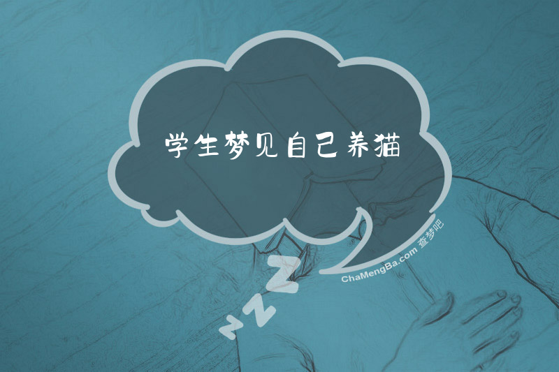 学生梦见自己养猫