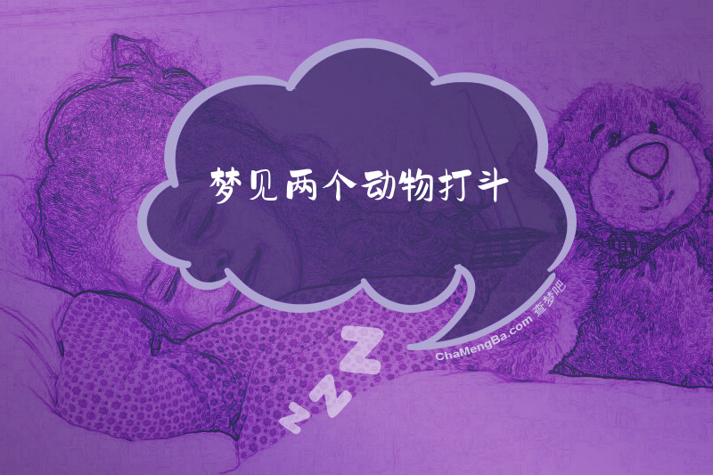 梦见两个动物打斗