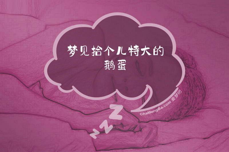 梦见拾个儿特大的鹅蛋