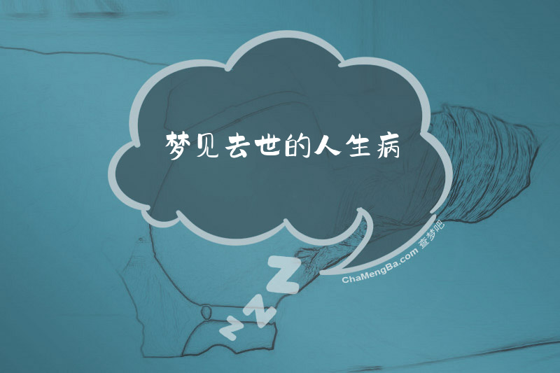 梦见去世的人生病