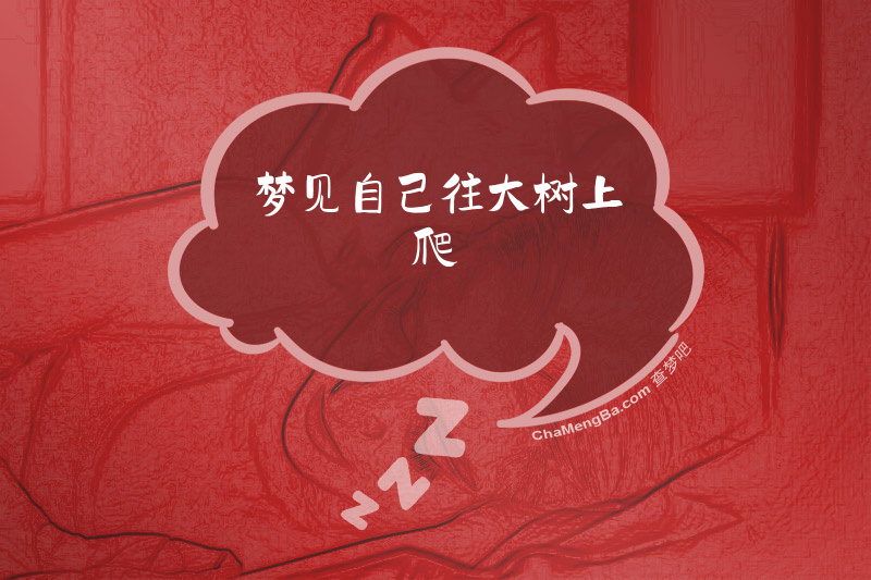 梦见自己往大树上爬