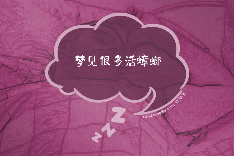 梦见很多活蟑螂
