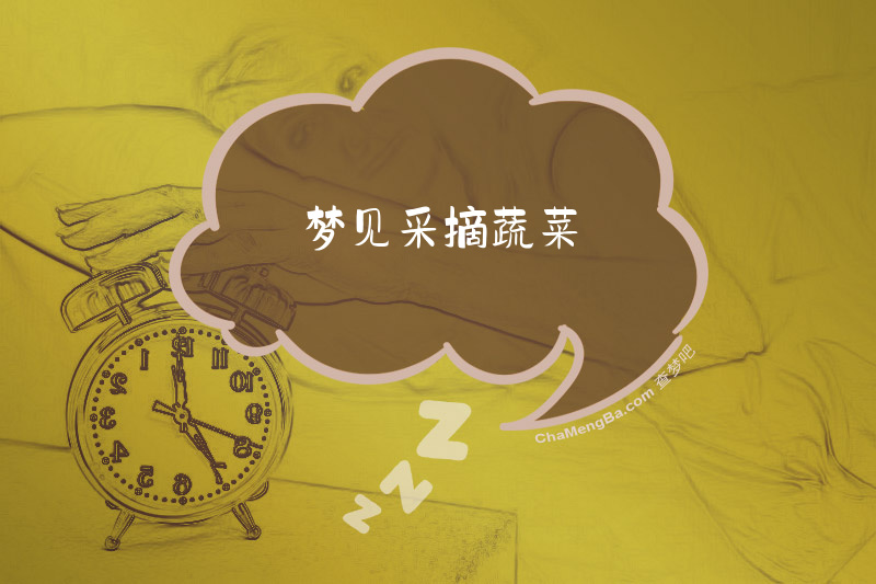 梦见采摘蔬菜