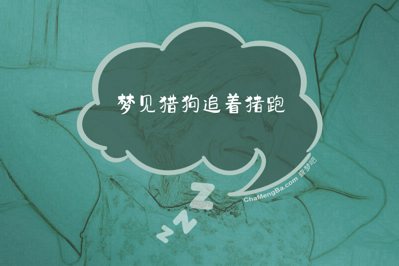 梦见猎狗追着猪跑