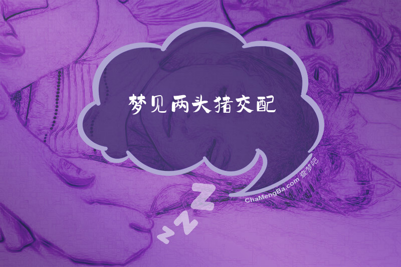 梦见两头猪交配