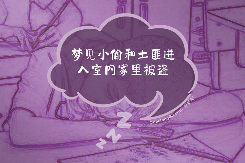 梦见小偷和土匪进入室内家里被盗