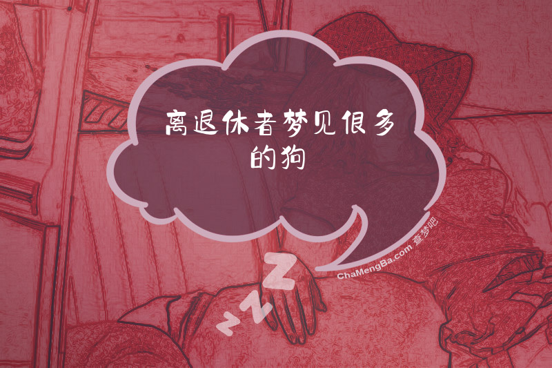 离退休者梦见很多的狗