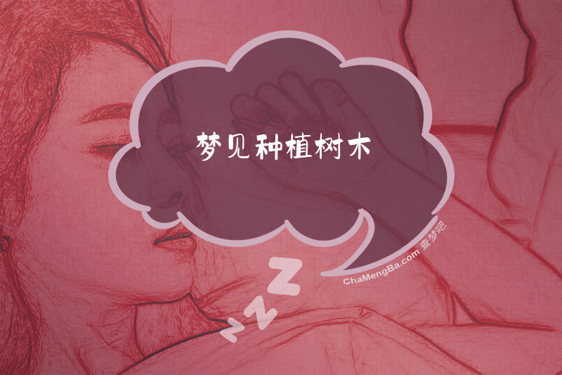 梦见种植树木